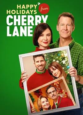 小镇音乐会综艺海报